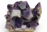 Deep Purple Amethyst Crystal Cluster - Congo #223273-1